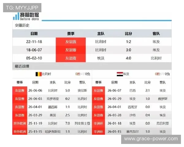世界杯比利时对阵埃及比赛前教练布置战术分析与赛前准备工作详解